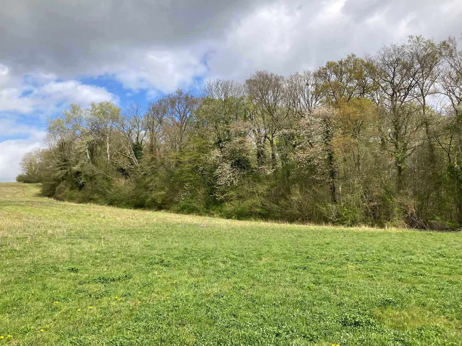 Propriété à dominante Forestière dans le Vexin Français d’environ 38 hectares