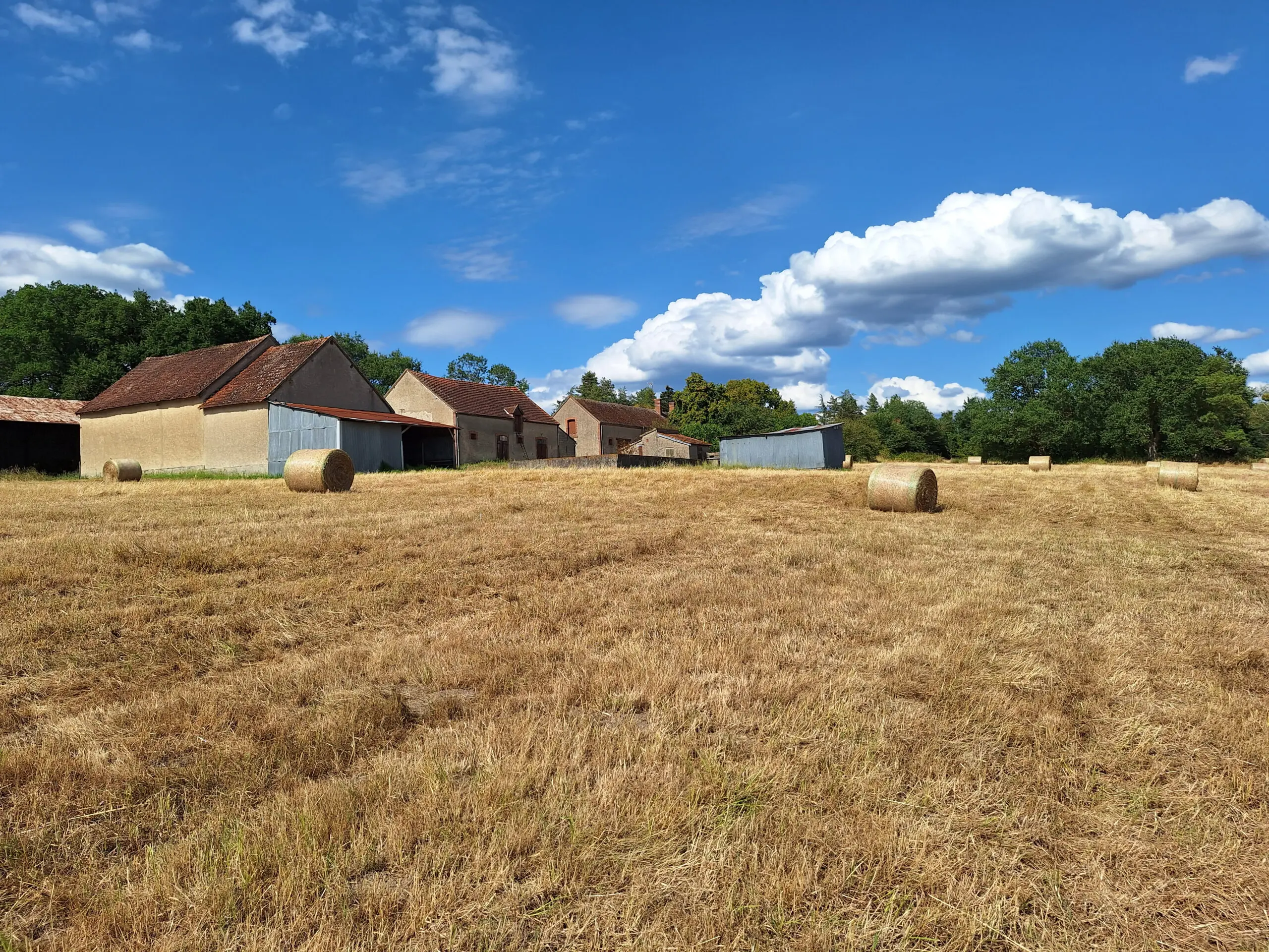 Propriété entre Sologne et Vallée du Cher d’environ 31 hectares