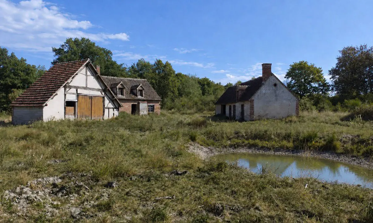 Authentique Fermette Solognote à rénover dans le Loir-et-Cher sur un territoire d’environ 8 hectares