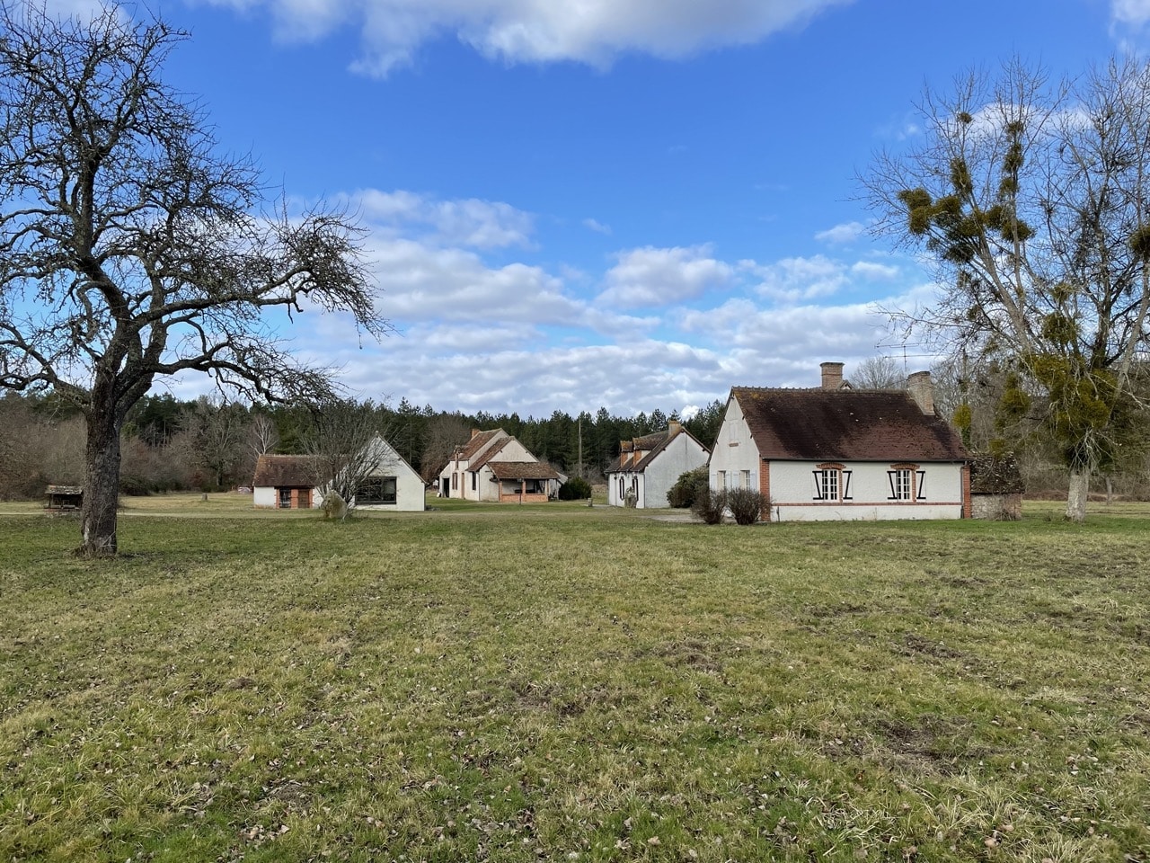 Propriété de Chasse & d'Agrément 100 Ha en pleine Sologne