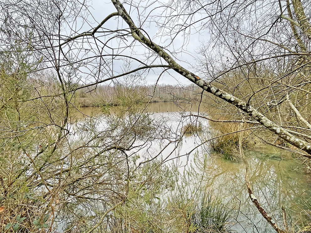 Propriété de Chasse, Pêche & d'Agrément 112 Ha en Brenne