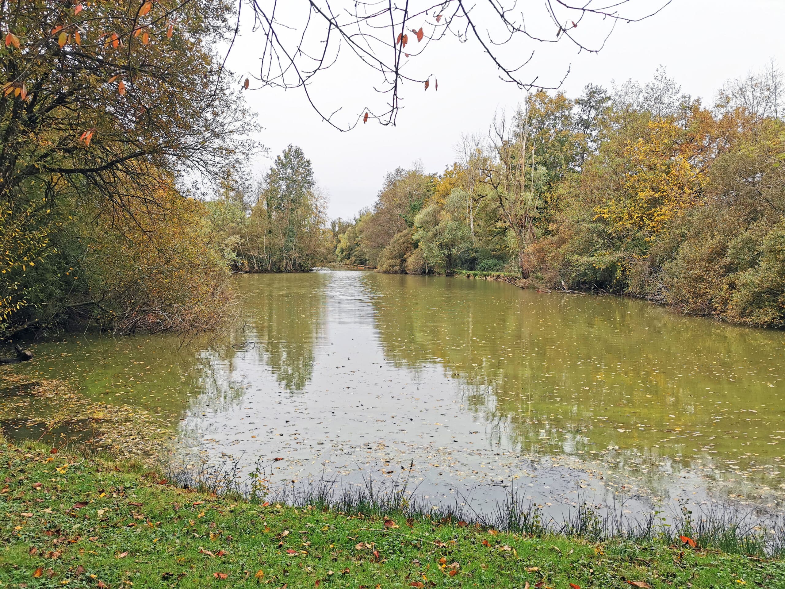 Propriété de Pêche et d’Agrément 4 hectares dans le Loiret