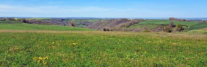 Propriété Agricole & d'Agrément 42 Ha dans le Tarn