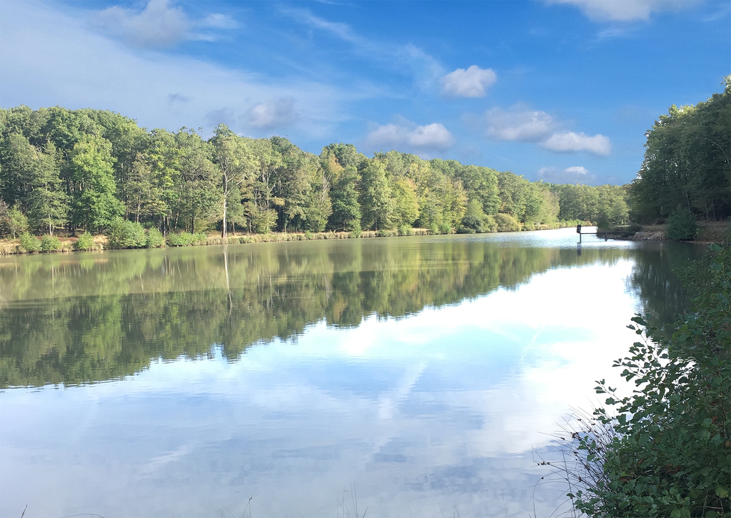 Propriété d’exception au cœur du Sud-Ouest, entre Poitiers et Angoulême 80 hectares