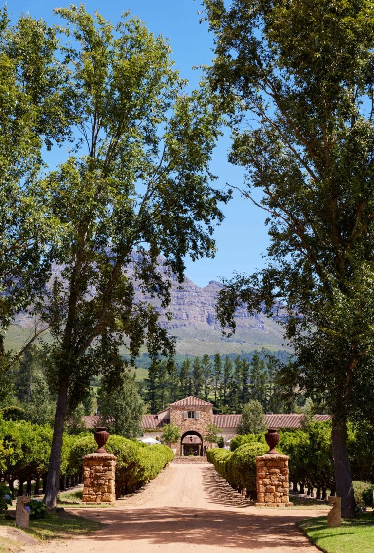 Domaine viticole en France