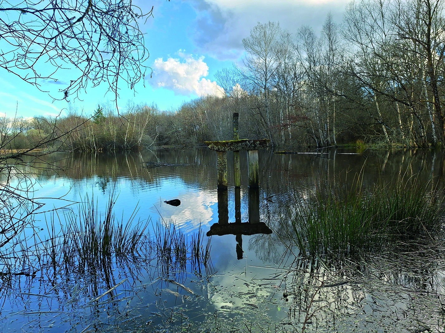 Domaine de Chasse & d’Agrément dans le Loir-et-Cher d’environ 35 hectares