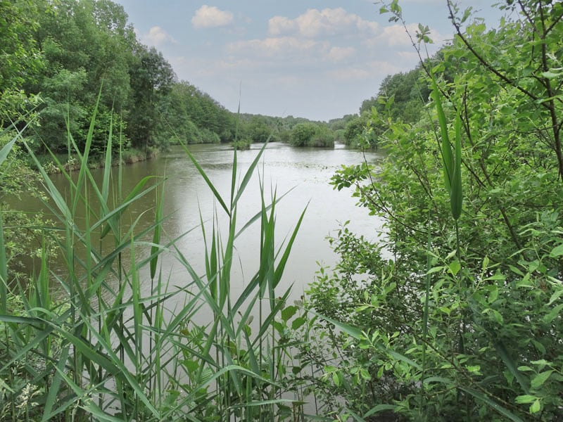 Domaine de Pêche et de Loisirs en Saône-et-Loire 13 hectares