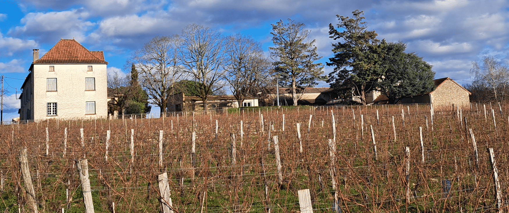 Propriété Viticole - Zone AOC Cahors dans le Lot de 15 hectares
