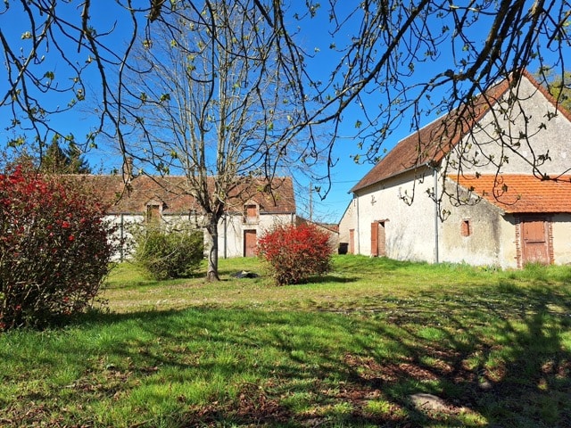 Corps de Ferme en Sologne 25 hectares