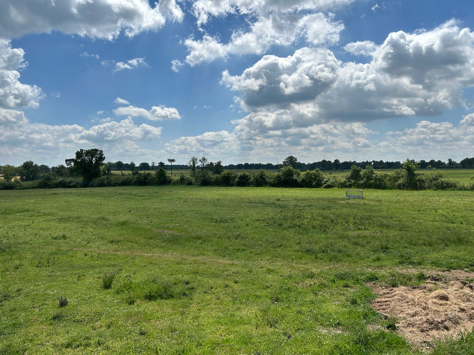 Domaine Agricole et Naturel à potentiel Cynégétique dans la Vienne (86) d’environ 48 hectares