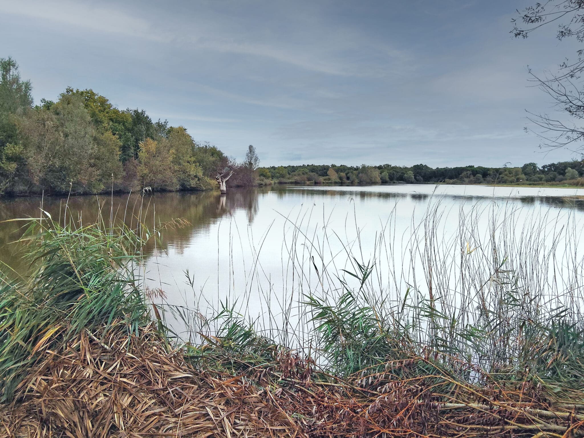 Territoire de Chasse, Pêche et d’Agrément dans l’Indre (36) d’environ 18,50 hectares