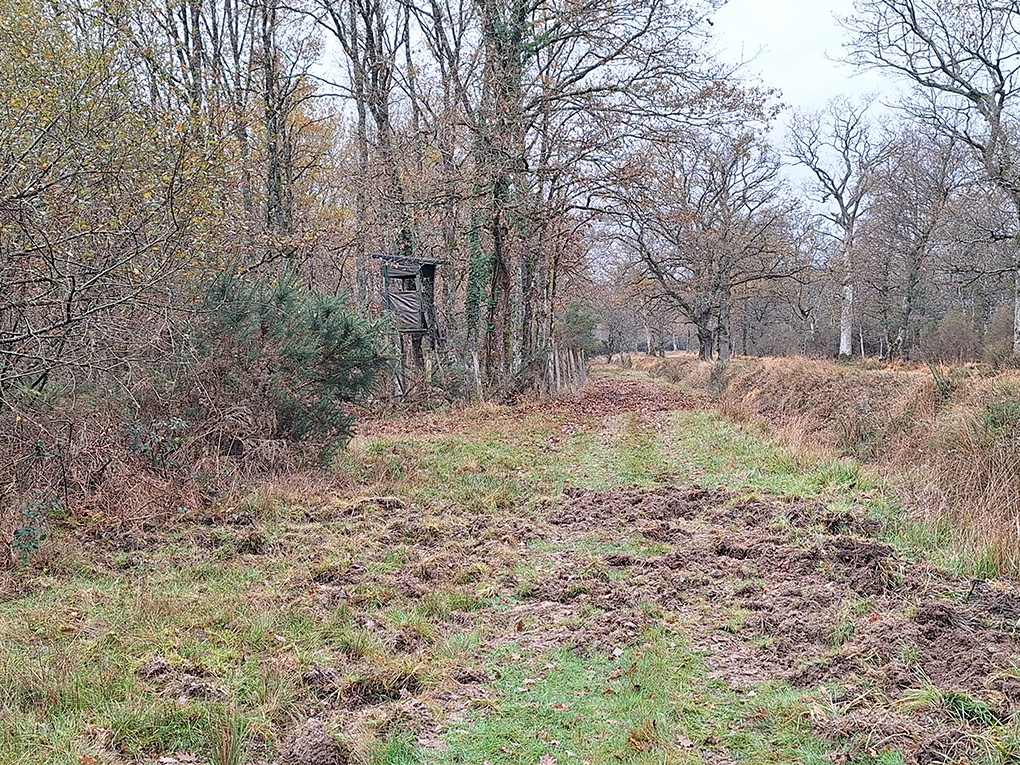 Propriété de Chasse en Sologne d’environ 15 hectares