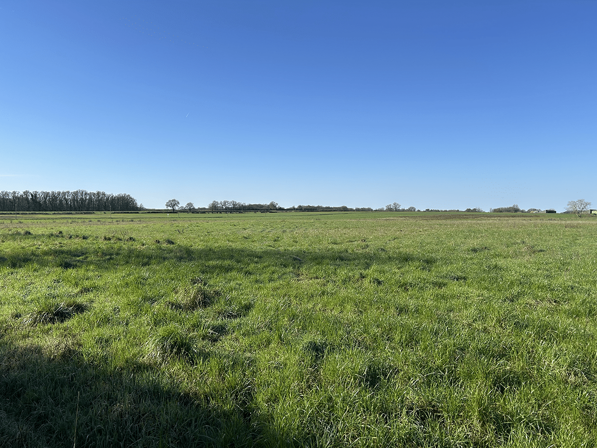 Propriété Agricole dans l’Indre d’environ 80 hectares