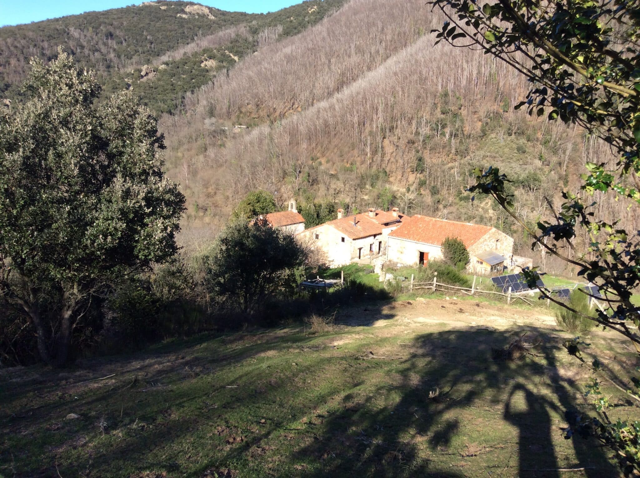 Mas catalan de caractère avec Domaine Forestier et Agricole dans les Pyrénées-Orientales d’environ 104 hectares