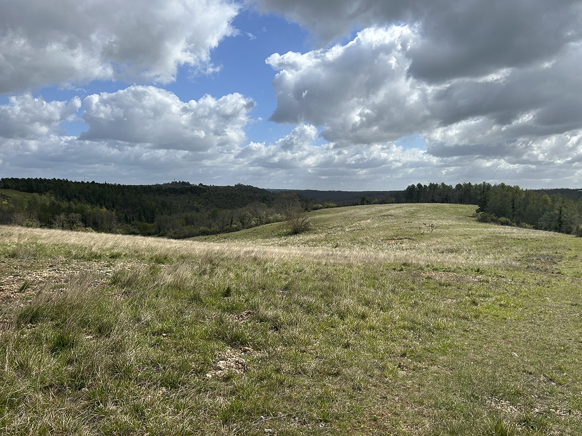 Propriété de Chasse dans le Lot-et-Garonne d’environ 117 hectares